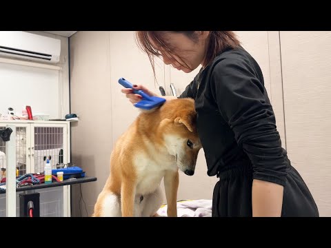 なんで落ち込むのよw