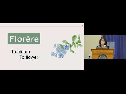 Opening- Dr. Deborah Moon, Director, Flourishing Research Collaboratives Human Flourishing Symposium
