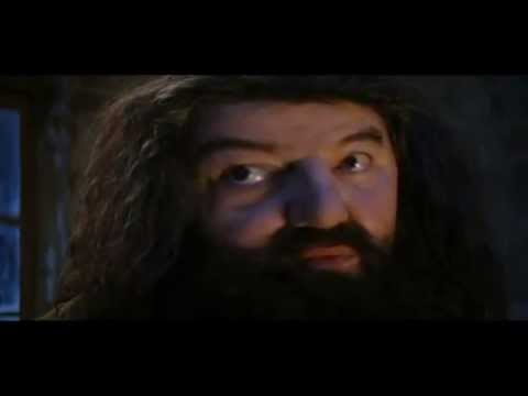 potterprincess394’s Video 123551881226 p1MSSmnzAfw