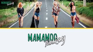 MAMAMOO - Spring Fever (봄타) [Türkçe Altyazılı]