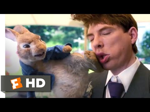Peter Rabbit 2: The Runaway (2021) - The Wedding Fight Scene (1/10) | Movieclips