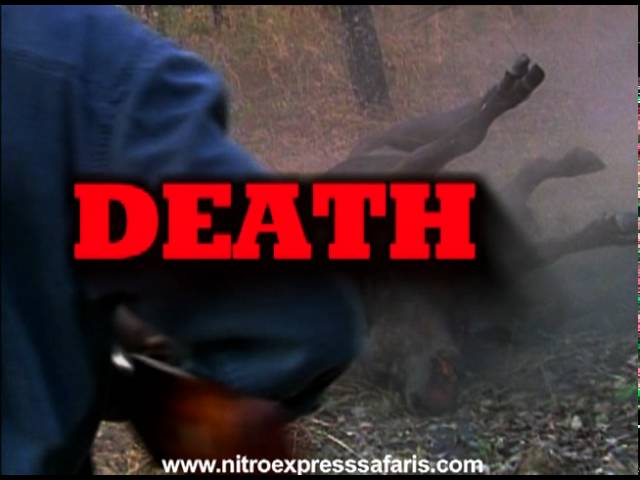 Death at my Feet Trailer