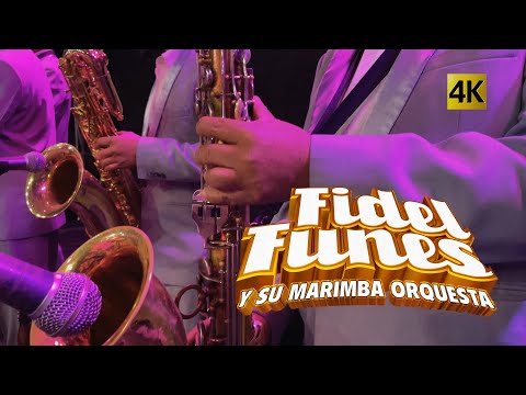 Fidel Funes y su Marimba Orquesta  -  El Sabor Continua 4K