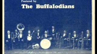 Buffalodians &amp; Harold Arlen - How Many Times? 1926 - Irving Berlin Songs