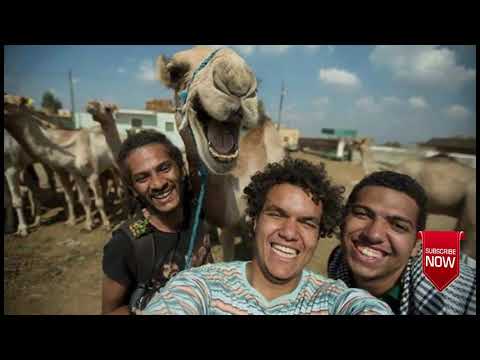 Funny Selfie With Animals - People Vs Animals: Funny Animal Fails Compilation