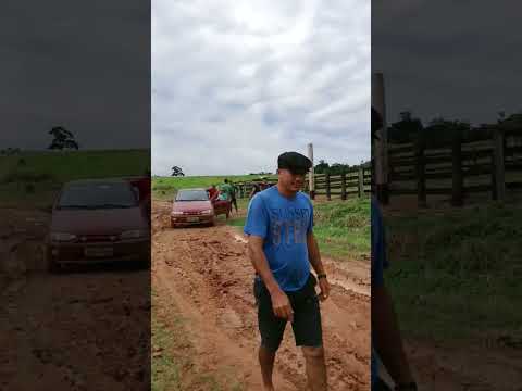 bujari ramal inha das cobra