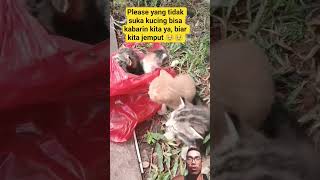 Download lagu please bila tidak suka pada mereka kasih ke kita aja 🥹🥹 mp3