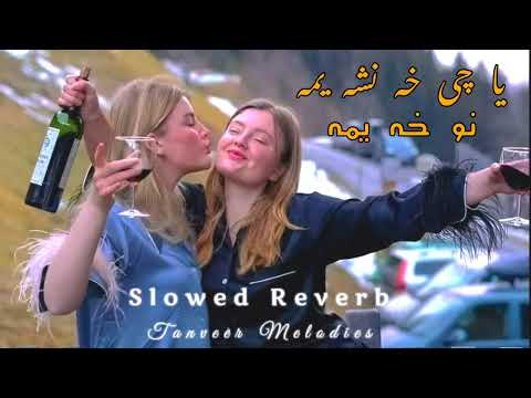 Ya che Kha nasha yama nu kha yama Pushto Classical Trending Song slowed Reverb ❤️ Tanveer Melodies 🤍