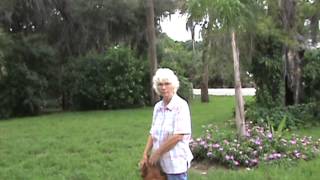 preview picture of video '1930 Florida Pioneer Home'