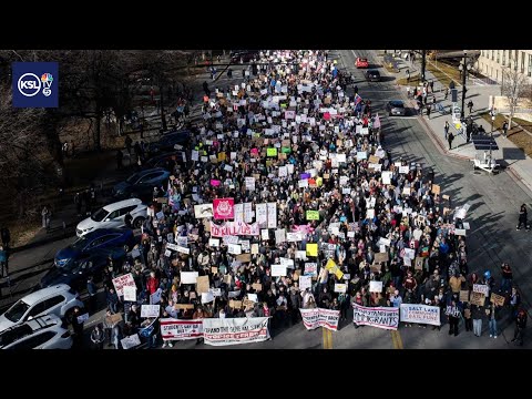Police arrest four anti-ICE protestors