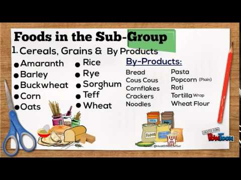 download lagu mp3 mp4 Examples Of Staple Foods, download lagu Examples Of Staple Foods gratis, unduh video klip Examples Of Staple Foods