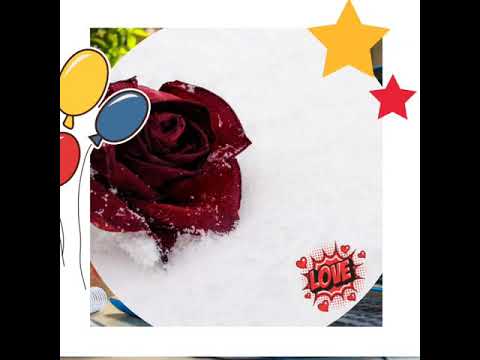 New flowers status for piyali