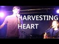 Max Milner - Harvesting Heart (original) 