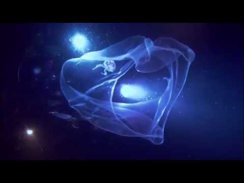 James Cameron’s Deepsea Challenge 3D at the CINÉ+ (30 sec.)