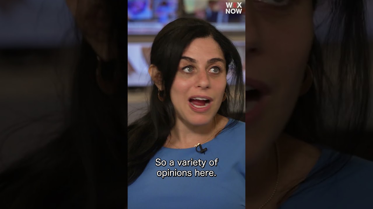 Virginia redistricting