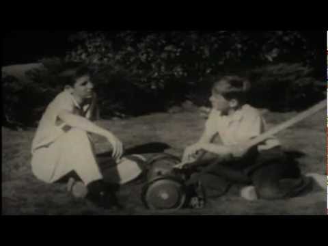 Helio Cavalo project