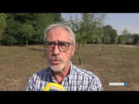 Nuovo parco al quartiere boschetto