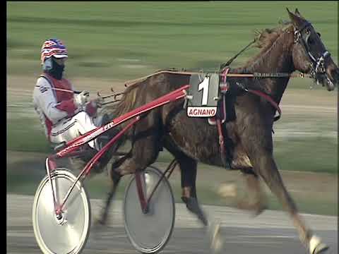 Trotto 26/11/2017 - 2ª corsa