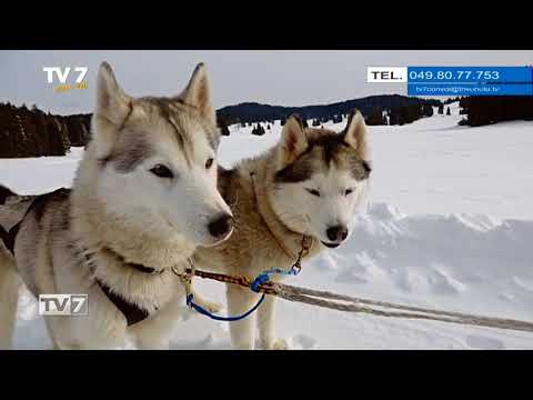 Tv7 con Voi del 21/2/2018 - Sciare in Alpe Cimbra (1 di 3)