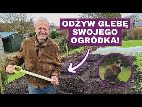 Dlaczego używać drewna iglastego na ściółkę ścieżkową?