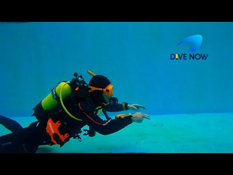 Diving Neutral Buoyancy Fin Pivot - Essential Scuba Skills