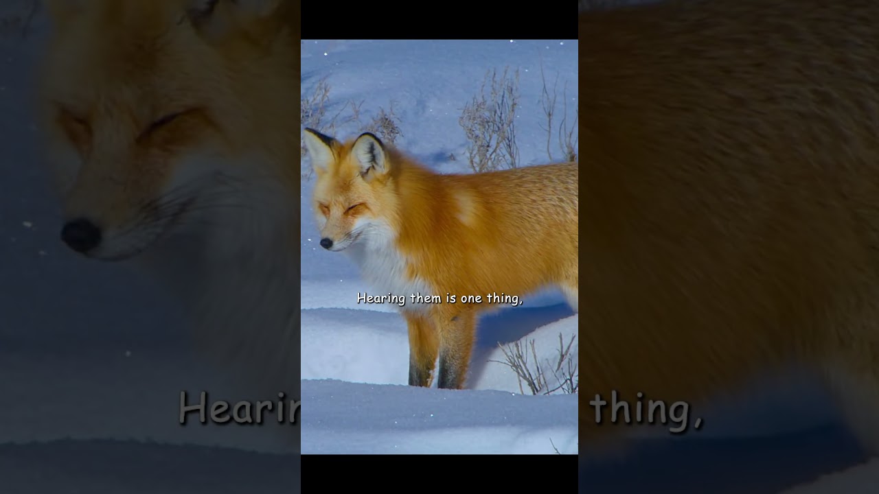This game of hide-and-seek by sound is really too hard