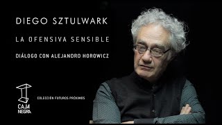 LA OFENSIVA SENSIBLE / EP1: SZTULWARK - HOROWICZ.