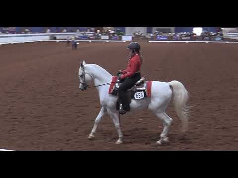 2021 Class 5 Western Dressage Suitability Walk Jog | Junior 13 & Under