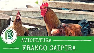 Miniatura do vídeo