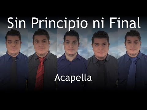 Sin Principio Ni Final | Bass Singer Cover | Marcelo Schild