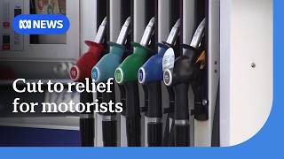 Petrol prices could rise slightly after government halves fuel excise discount | ABC NEWS