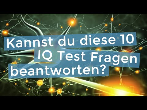 IQ Test Training: Kannst du diese 10 Fragen beantworten?