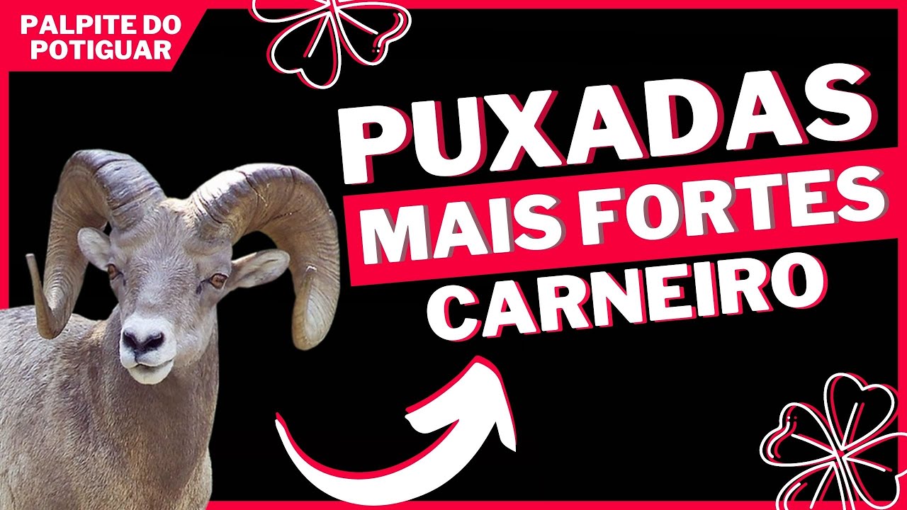 Puxada do Carneiro - Jogo do Bicho