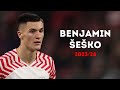 Benjamin Šeško 2023/24 - The Complete Striker | Magic Skills, Goals & Assists | HD