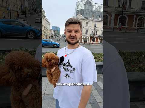 Меня заблокировал мошенник #юмор