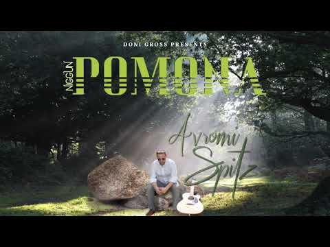 Avromi Spitz - Niggun Pomona