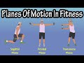 Importance Of The Planes Of Motion Sagittal Plane Frontal Plane Transverse Plane In Fitness