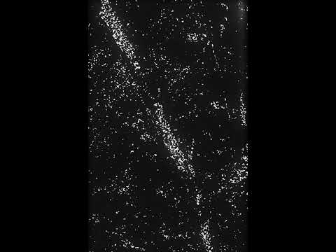 Xzælthu - Xzælthu (2017)