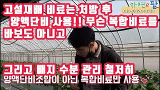 고설재배에 토경용 관주용 초기, 중기, 후기(311, 222,114)비료를 사용해? 염류 관리 되시겠어요? …