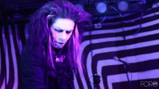 KAS PRODUCT   (ODDITY)