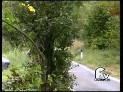 Rally Valli Cuneesi 2008 Rosano-Pozzi