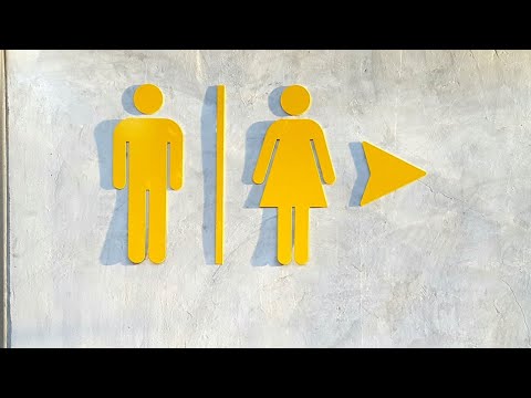 ‘Sheer lunacy’ of banning gendered language