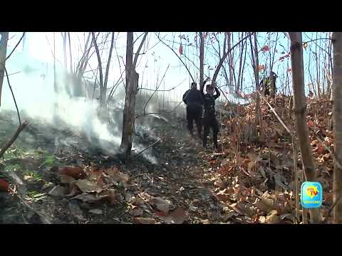 AUTORIDADES REPORTAN BALANCE POSITIVO TRAS FINALIZAR VACACIONES EN MORAZAN