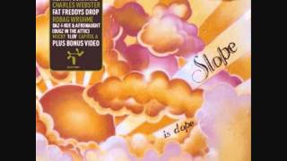 Fat Freddy's Drop - Ray Ray (Slope Remix)