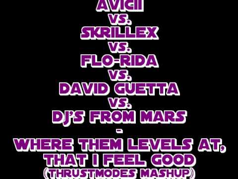 Avicii vs Skrillex vs Flo-Rida vs David Guetta vs DFM - Where them Levels at that I Feel Good