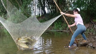 Traditional Fishing with Bamboo and Fishing Net in River, Catching Many Fish