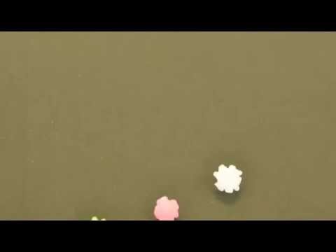 メディア情報学科 相模女子大学メディア情報学科2014オープンキャンパス：金平糖ハート