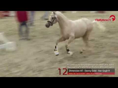 12 Dimension AT - Danny Gold - Van Gogh R