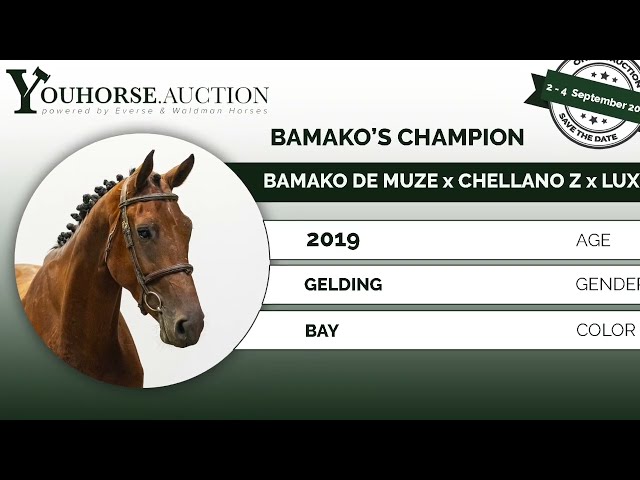 Bamako's Champion