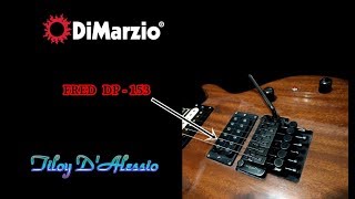 Video thumbnail for Dimarzio  Fred  DP -153  Joe Satriani (bridge) by Tiloy D'Alessio